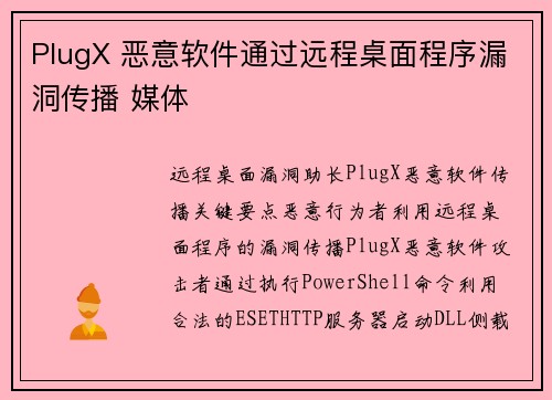 PlugX 恶意软件通过远程桌面程序漏洞传播 媒体