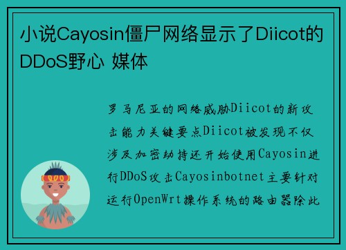 小说Cayosin僵尸网络显示了Diicot的DDoS野心 媒体